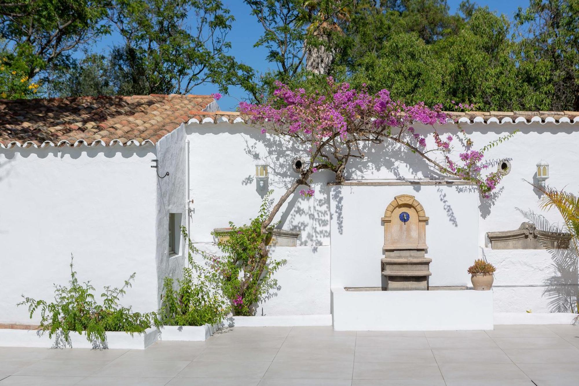 Amago Guesthouse Santa Barbara de Nexe Ngoại thất bức ảnh