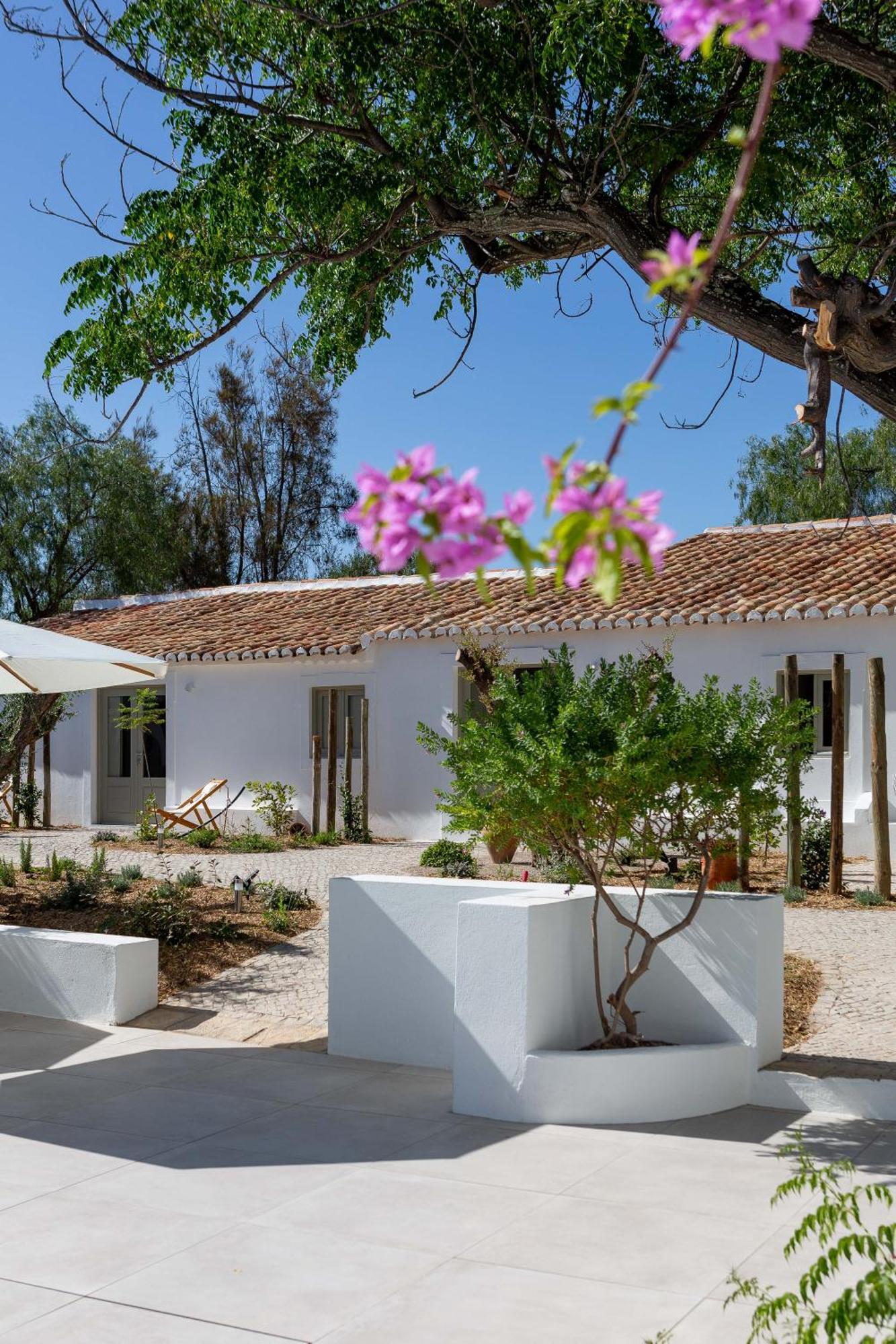 Amago Guesthouse Santa Barbara de Nexe Ngoại thất bức ảnh
